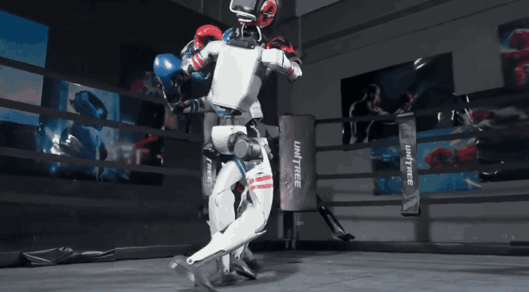 중국 로봇기업 유니트리가 만든 휴머노이드 ‘G1’ 두 대가 격투기 시연을 하고 있다. 다음 달 공식 경기가 열릴 예정이다. 유니트리 제공