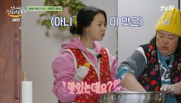 언니네 이미지
