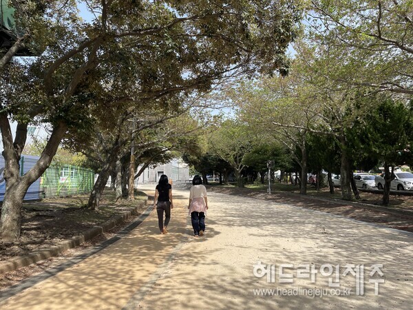 애향 이미지
