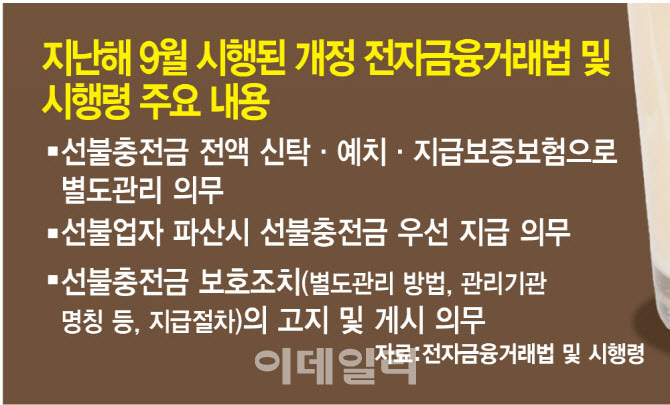 보니 이미지