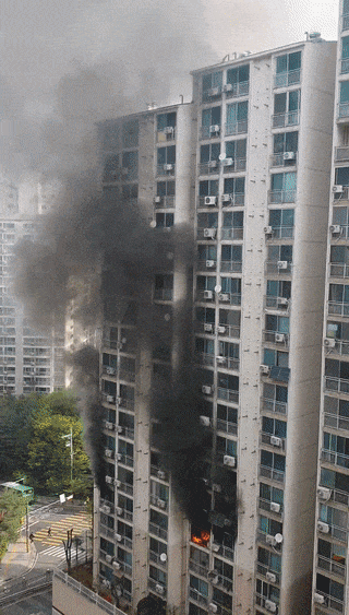 독자 장하나 씨 제공