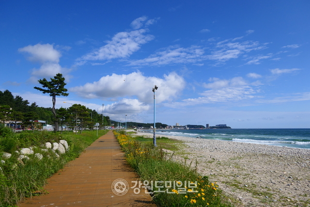 양양 이미지