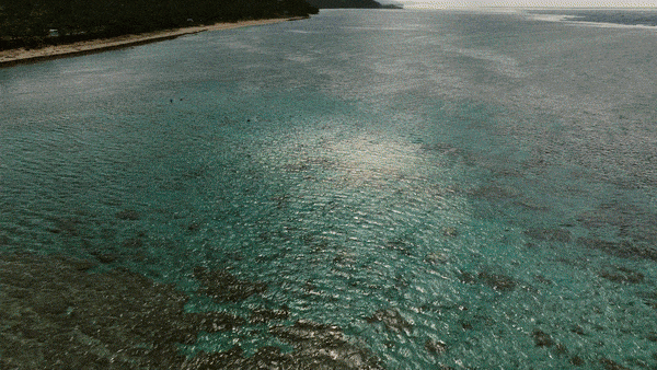 삼성전자가 해양 보호를 위해 갤럭시 카메라 기술을 활용한 해양 생태계 복원 프로젝트 '코랄 인 포커스'를 위해 산호초를 찍고 있다. 영상=삼성전자