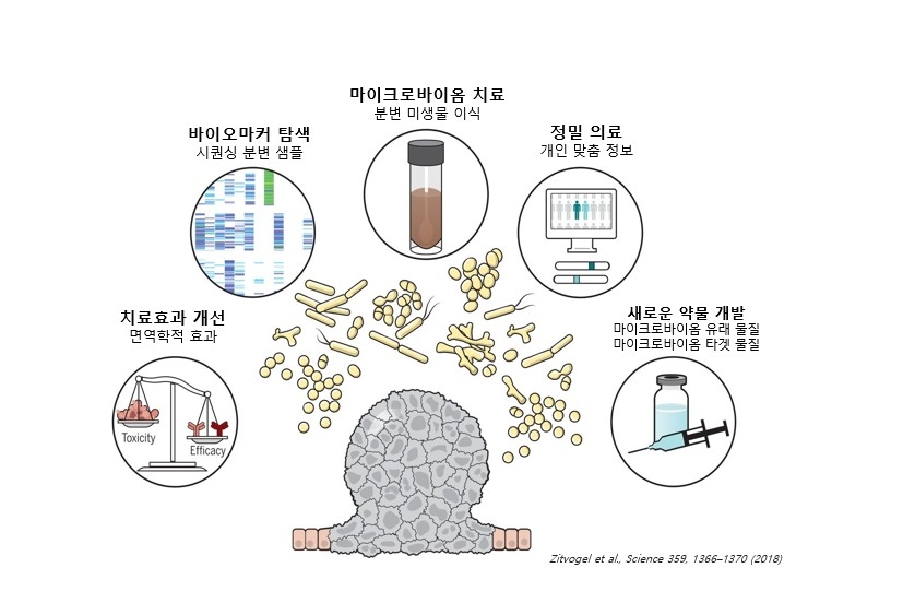 바이옴 이미지