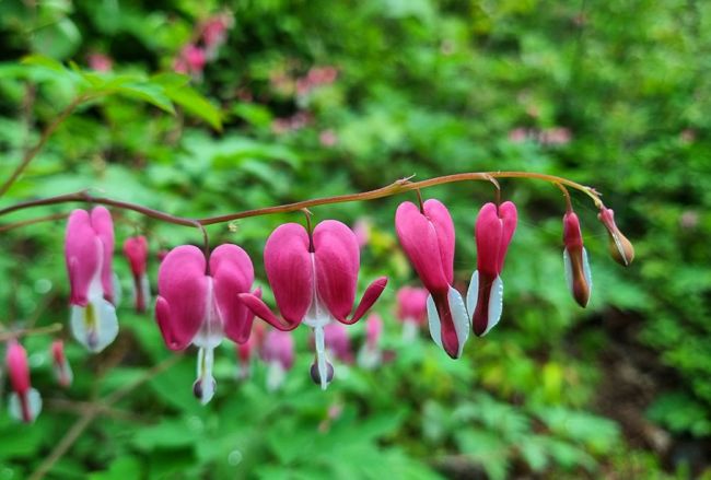 산림과환경 이미지