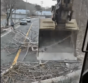 중장비 기사 A씨가 도로 위에 쓰러진 나무를 치우고 있다. [사진=인스타그램 @kimjoohyung]