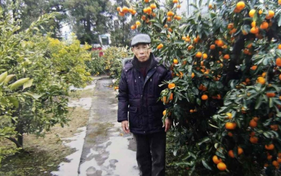 달지붕 이미지