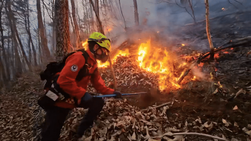 공중진화대원 조성연 주무관이 갈퀴를 이용해 산불 진화작업을 벌이고 있다./사진제공=산림청 산림항공본부.