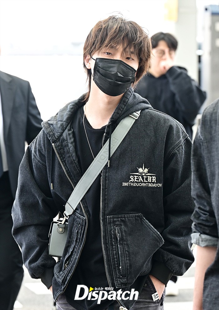디노 이미지