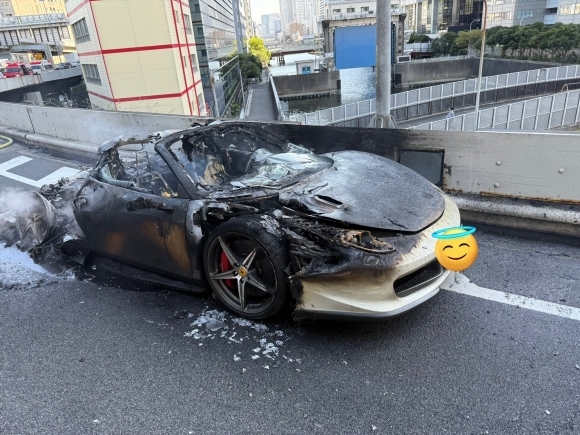 위그모아 이미지