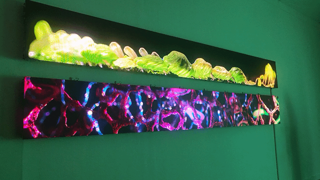 [사진=박현주미술전문기자]=2025젊은모색전에 선보인 김을지로의 복안의 졍령 영상.  *재판매 및 DB 금지