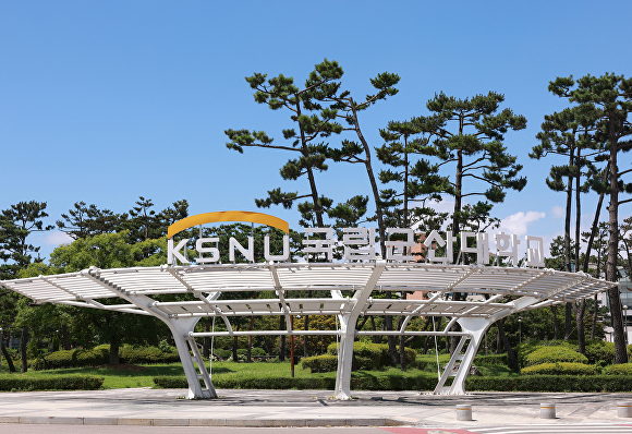 티에스글로벌주 이미지