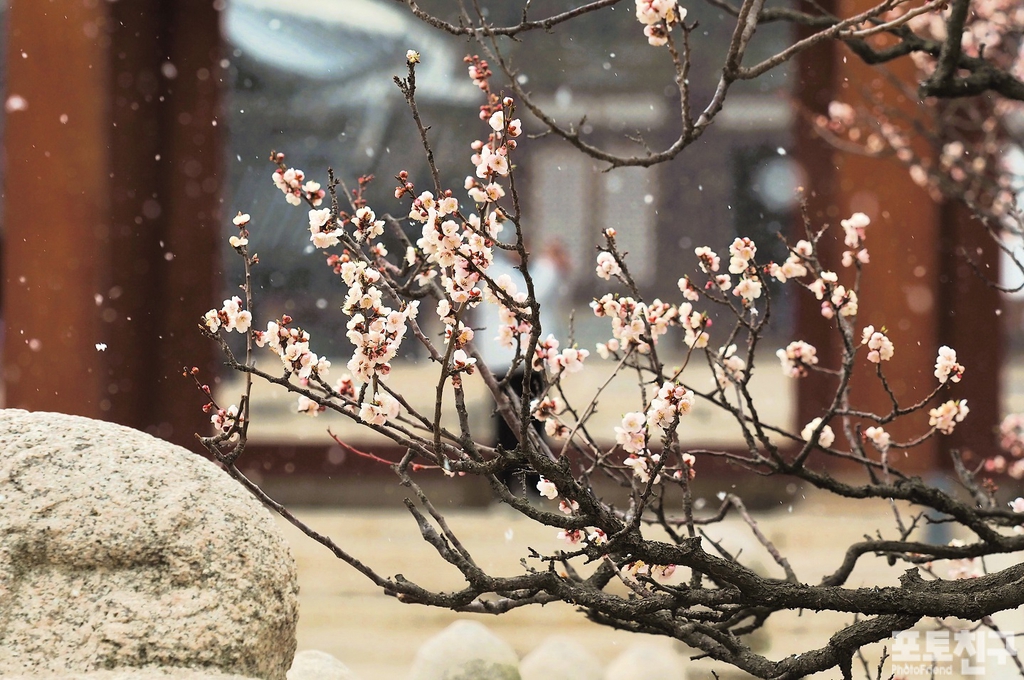 시샘 이미지