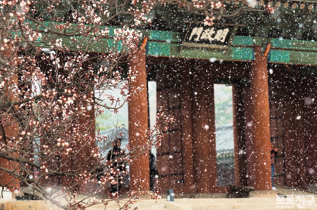 시샘 이미지