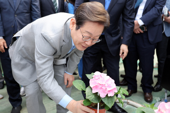 도이치에너지 이미지
