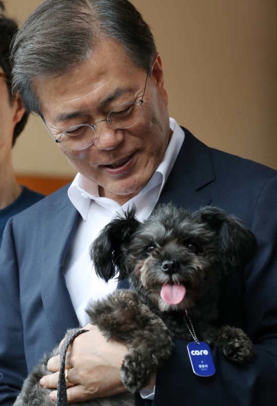토리 이미지
