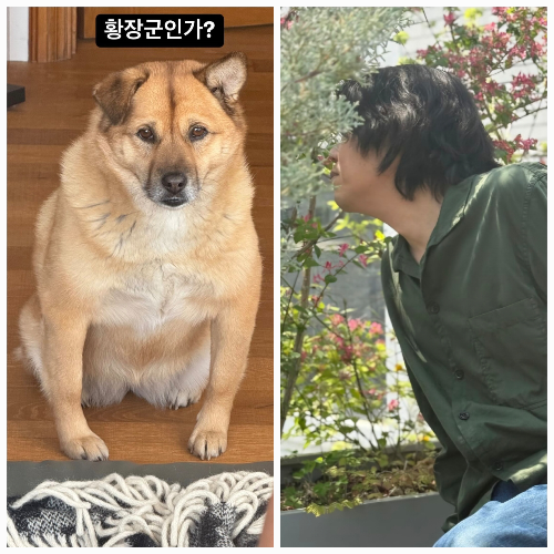 황장군 이미지