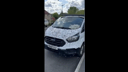 [서울=뉴시스] 술집 밖에 몰려든 벌떼의 모습 (사진=뉴욕포스트) 2025.04.23 *재판매 및 DB 금지