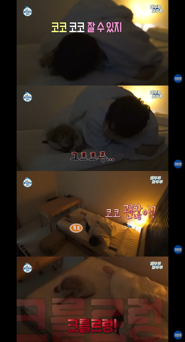 코코멍 이미지