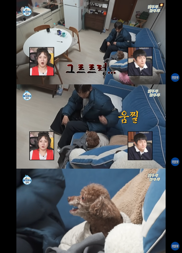 코코멍 이미지