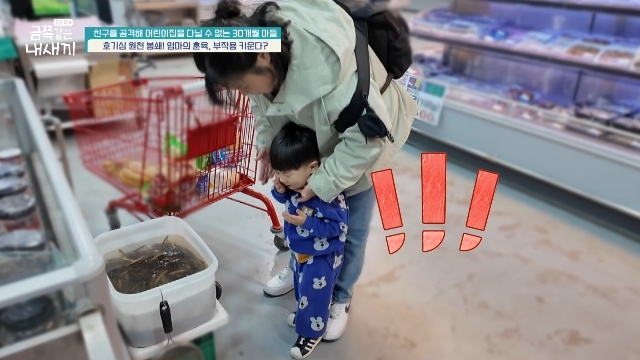 금쪽 이미지
