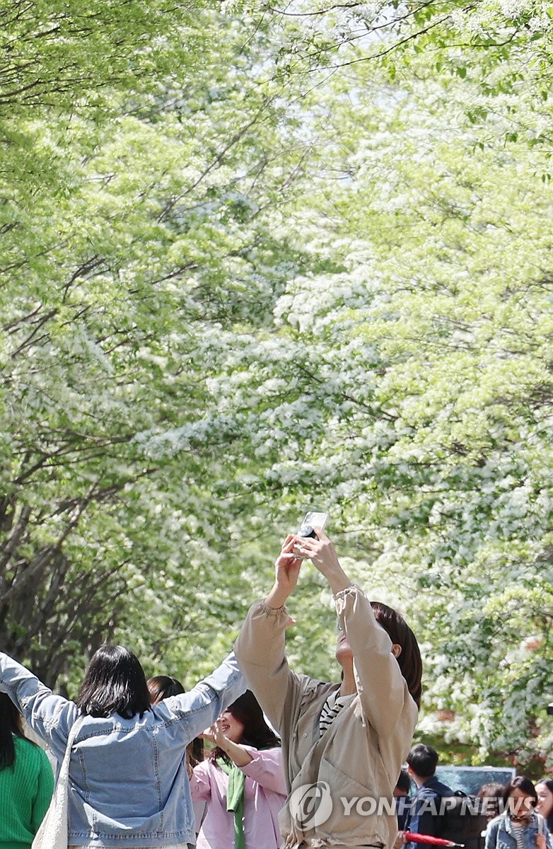 이팝 이미지