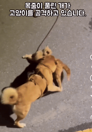 (위액트 인스타그램 갈무리)