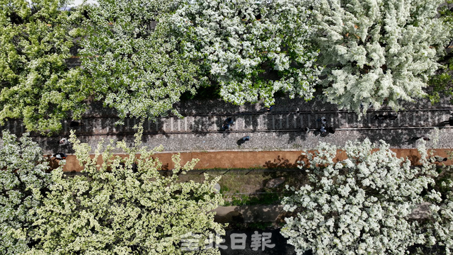 이팝 이미지