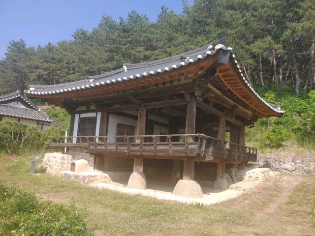 느티나무대구 이미지