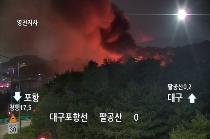 도동이네 이미지