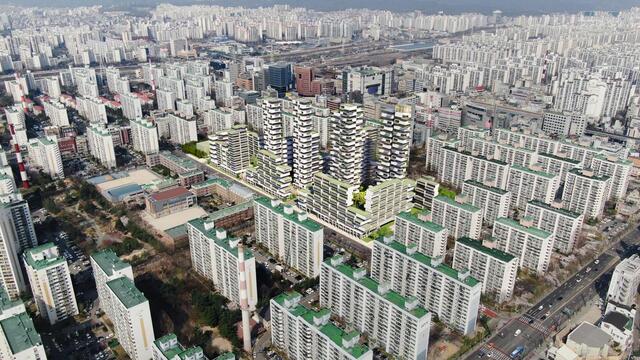 득이네 이미지