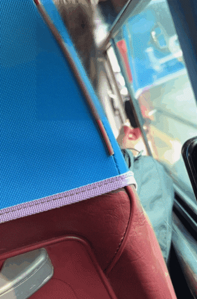 제주의 한 시내버스에서 중국인 관광객으로 추정되는 여성이 담배를 피우고 꽁초까지 밖에 버리는 모습. 서경덕 성신여대 교수 페이스북