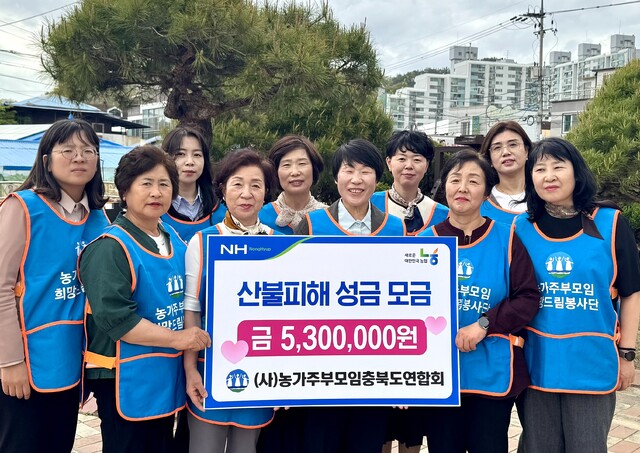 주부 이미지