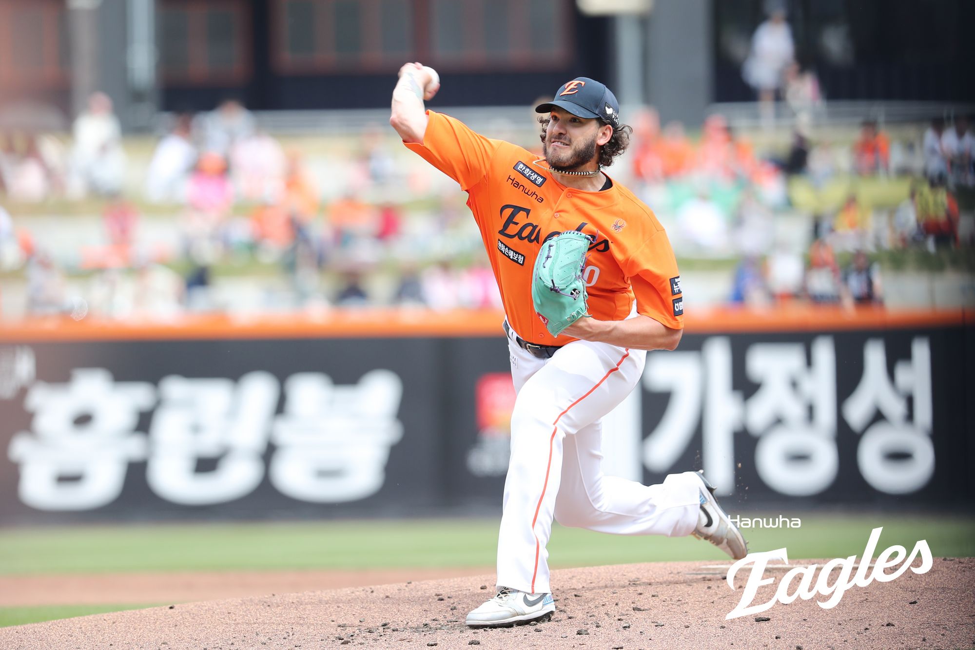 더21 이미지