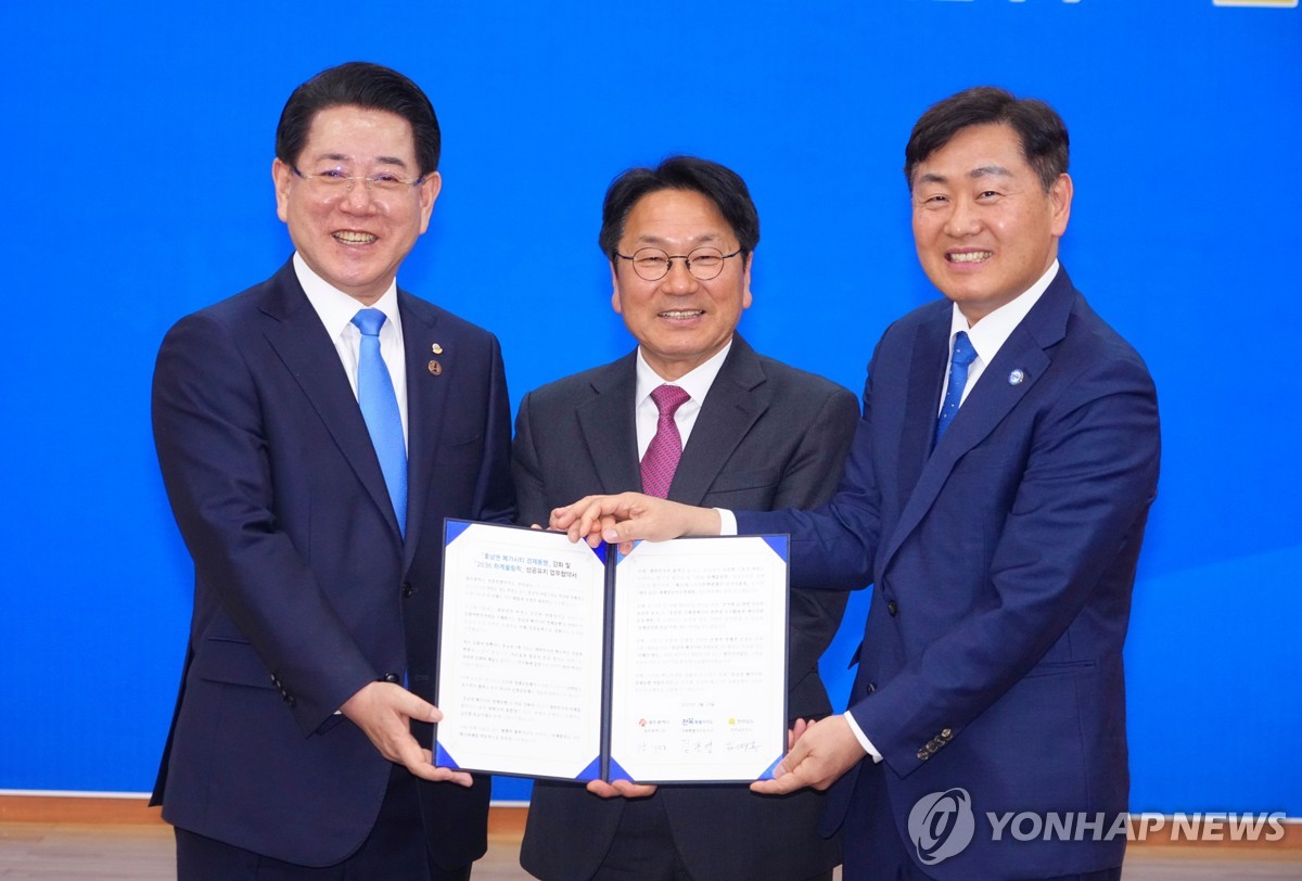 메가시티 이미지