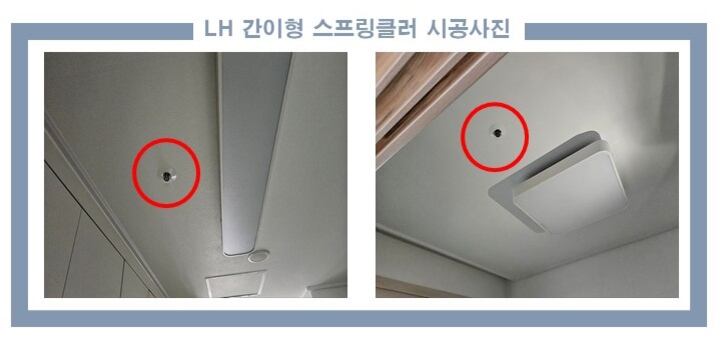 영구네 이미지