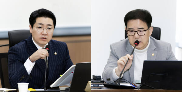 김포차 이미지