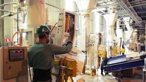 CJ셀렉타 생산 모습