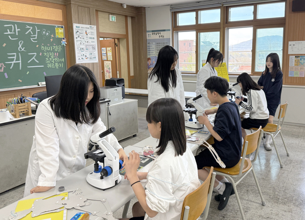 조양중학교 이미지