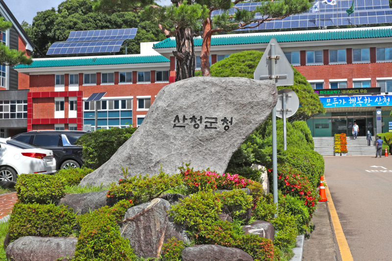 20호 이미지