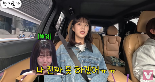 티비티비 이미지