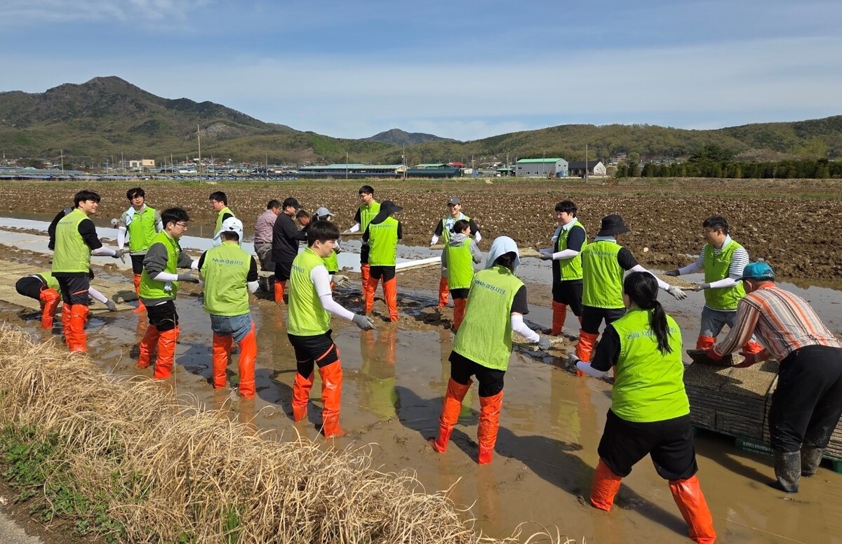 지주 이미지