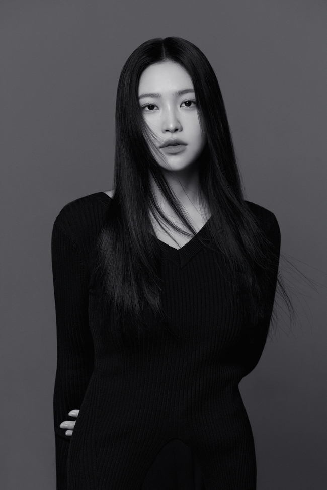 웨이다 이미지