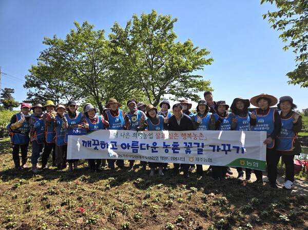주부 이미지
