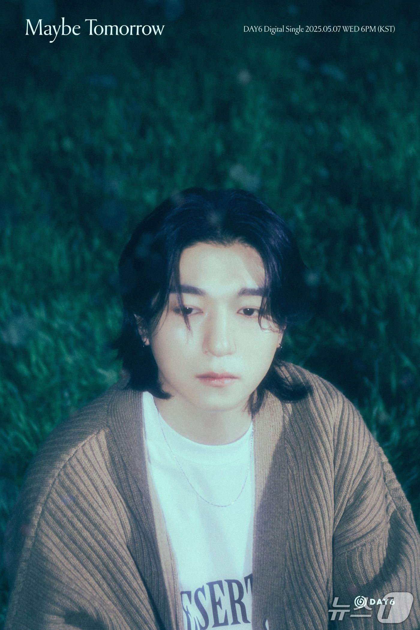 성진 이미지