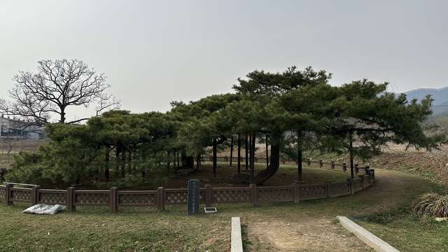 천연 이미지