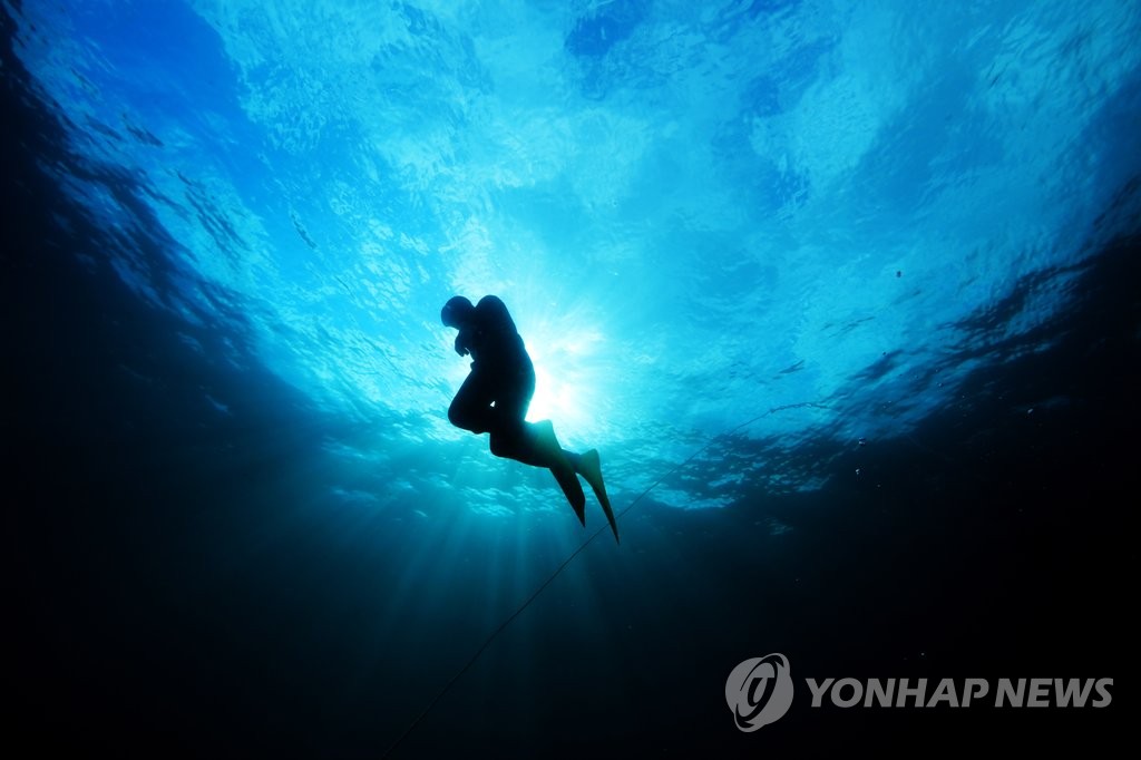 한수풀인력 이미지