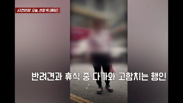 [서울=뉴시스] 반려견 산책 중 한 여성이 다가와 욕설을 내뱉는 영상이 공개됐다.(영상=JTBC 사건반장 갈무리) *재판매 및 DB 금지