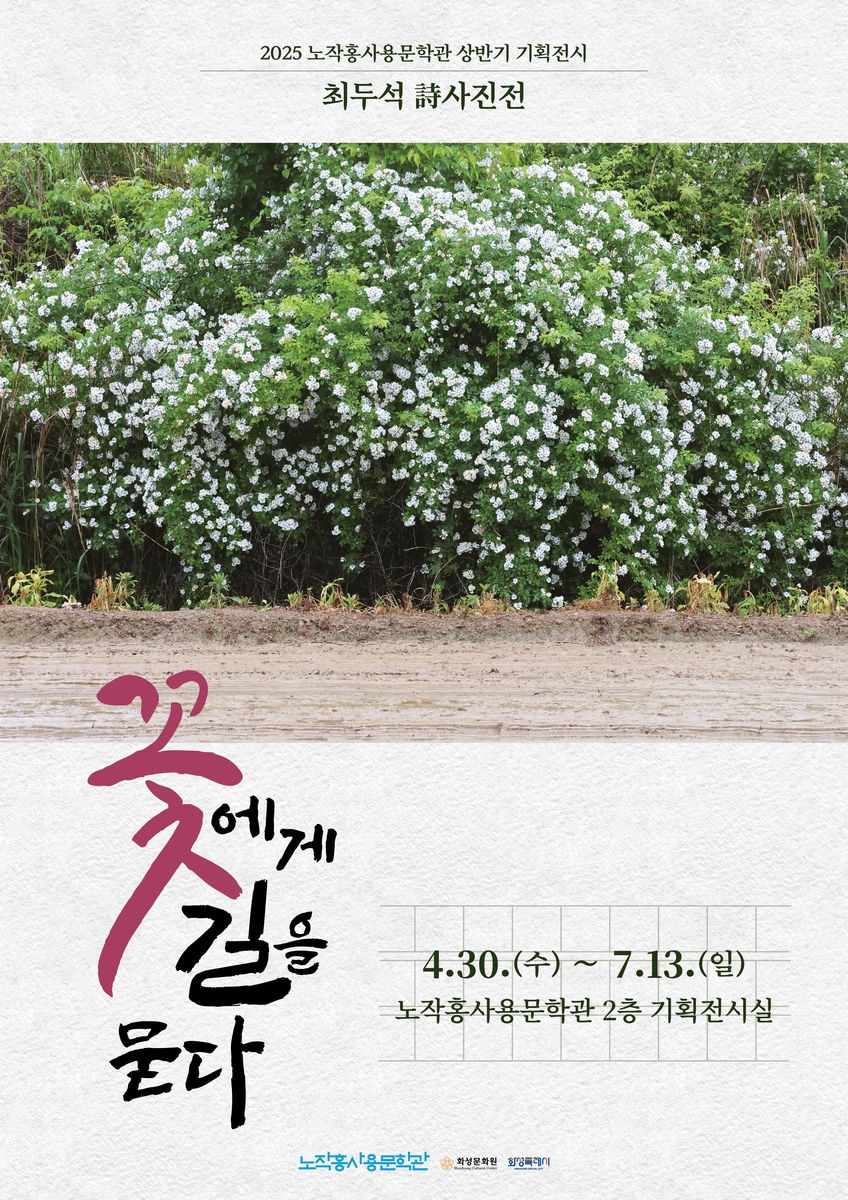 노작 이미지