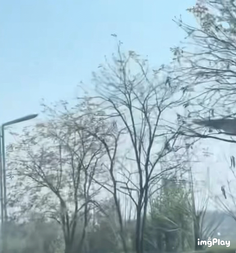 중국이 개발 중인 6세대 전투기 J-36으로 추정되는 비행체. 4월 초 중국 소셜미디어에 퍼진 영상으로, 언제 촬영된 것인지는 확인되지 않았다.